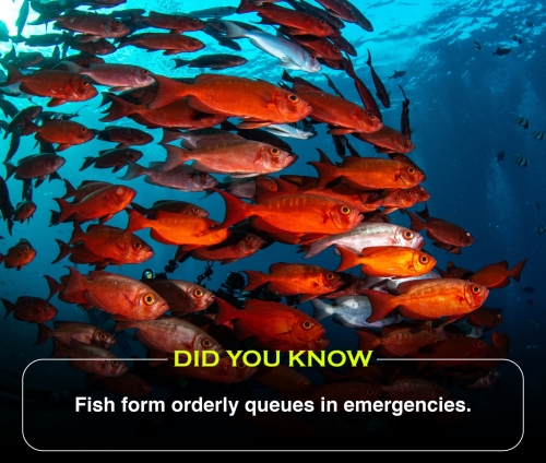 Did You Know 2