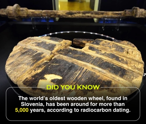 Did You Know 2