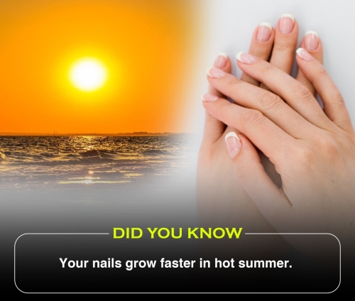 Did You Know 2