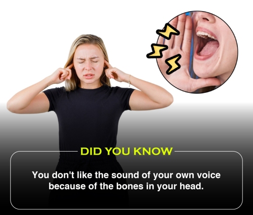 Did You Know 2