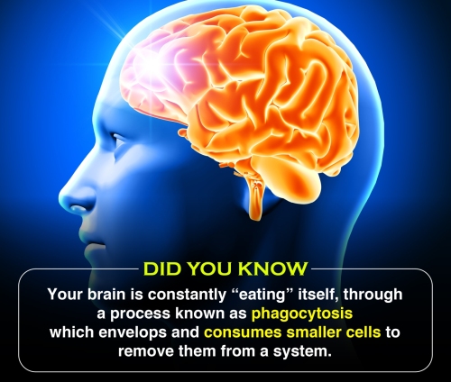 Did You Know 2