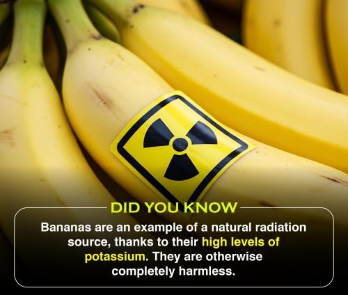 Did You Know 2