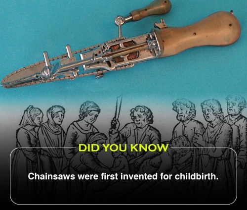 Did You Know 2