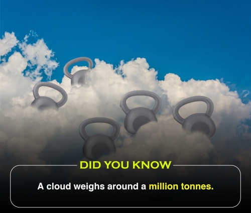 Did You Know 2