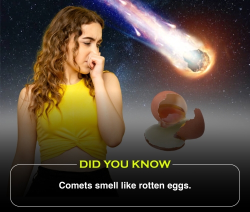 Did You Know 2