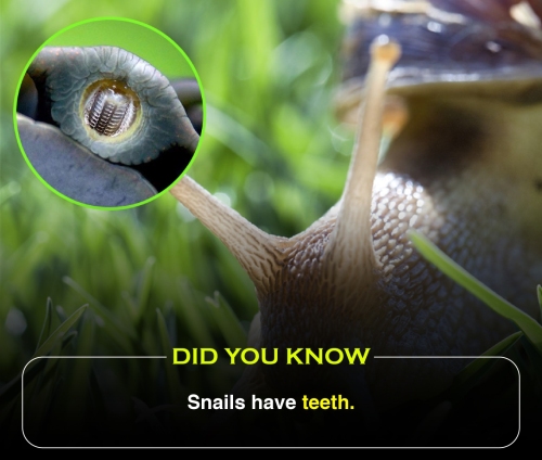 Did You Know 2