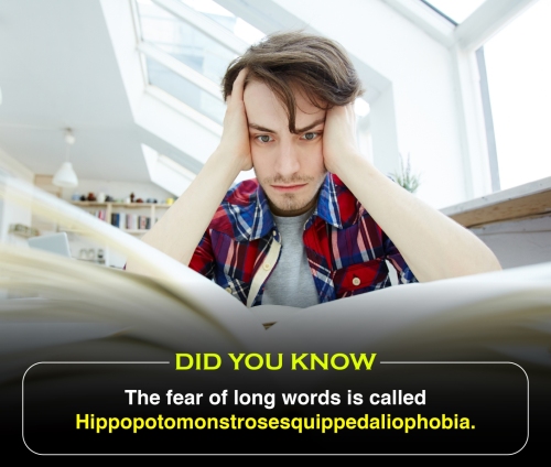 Did You Know 2