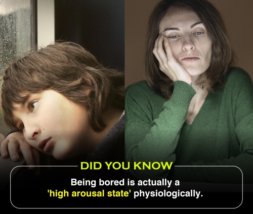 Did You Know 2