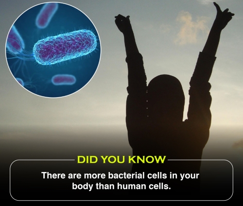 Did You Know 2