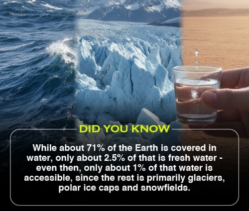 Did You Know 2 (V2)