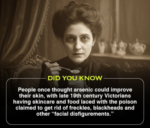Did You Know 2 (V2)