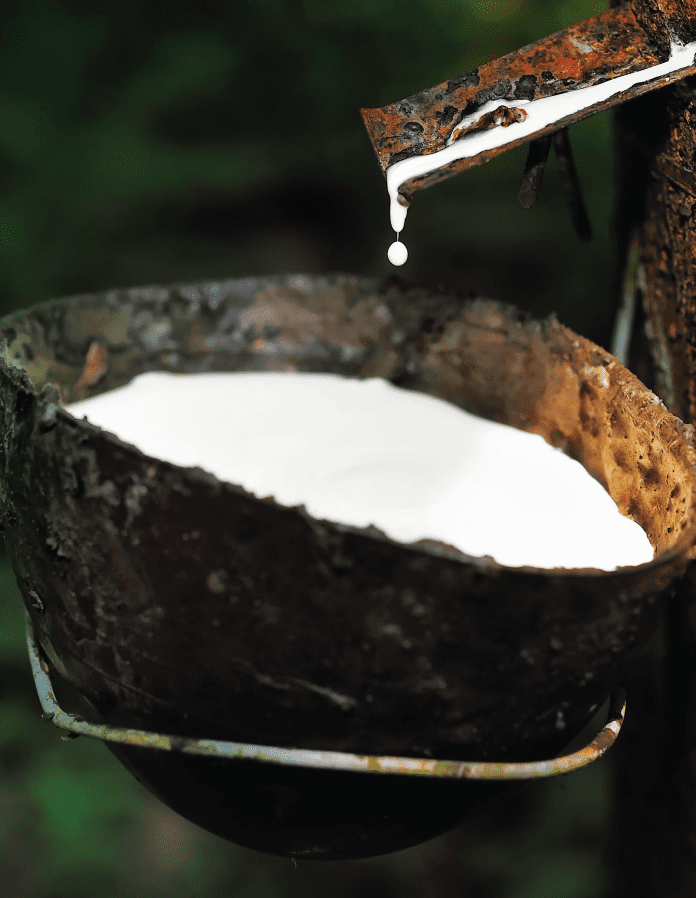 Malaysian Rubber Board Tapping The Rubber Gold Mine