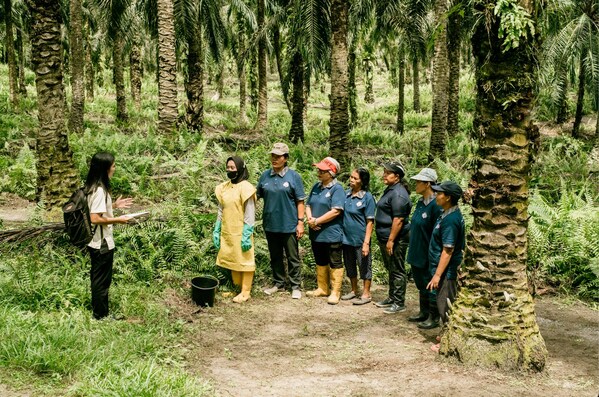 Musim Mas’ Smallholders Program trains independent smallholders to implement good and sustainable agronomic practices and to obtain Indonesian Sustainable Palm Oil (ISPO) certification.