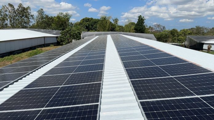 LONGi Hi-MO X6 Light up Poultry Farming in the Philippines