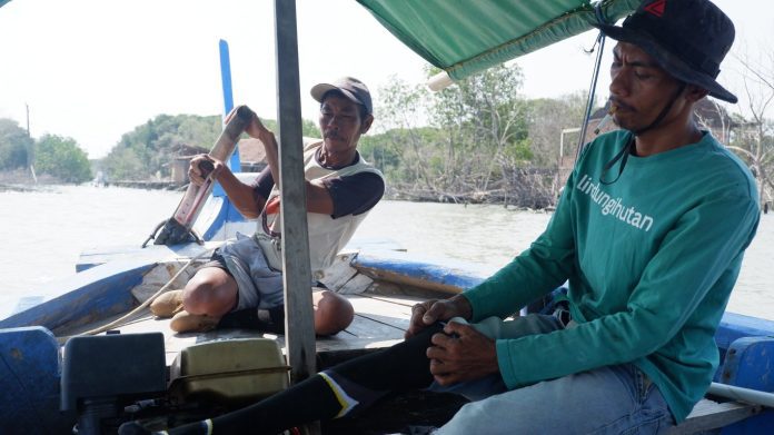 Desa Bedono Tenggelam, Petani Ini Terus Menanam Mangrove untuk Bertahan