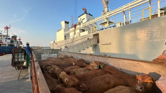 Pelindo Perkuat Ketahanan Pangan Nasional, Bongkar 1