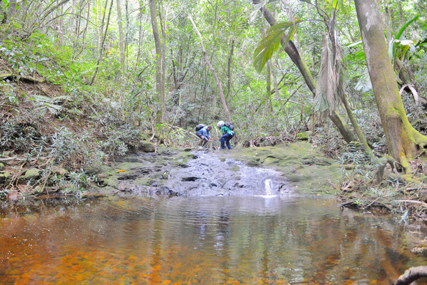 Indulge in flora & Fauna on the Mare Aux Cochons Trail - Tourism Seychelles