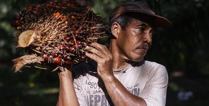 FGV Sustainability main