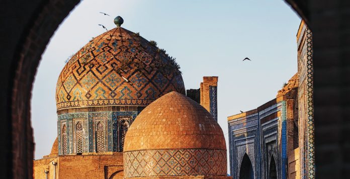 Uzbek_Tashkent 6 chosen