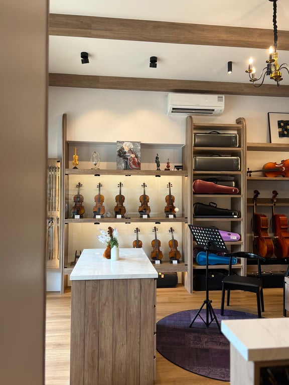 Violin shop at Bukit Timah, Singapore