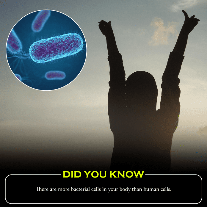 Did you know? There are more bacterial cells in your body than human cells.