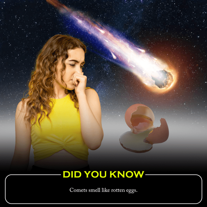 Did you know? Comets smell like rotten eggs.