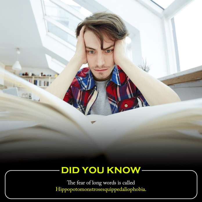 Did you know? The fear of long words is called Hippopotomonstrosesquippedaliophobia.