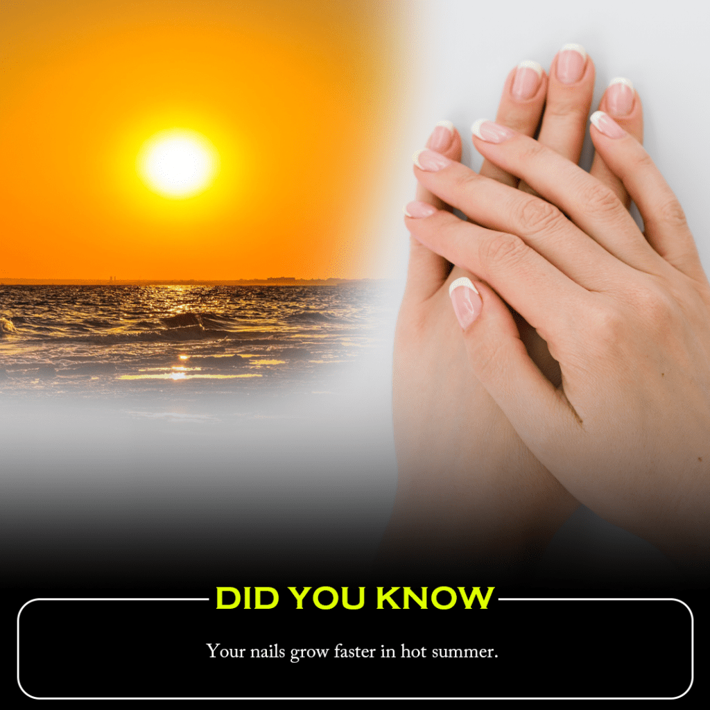 Did you know? Your nails grow faster in a hot summer.