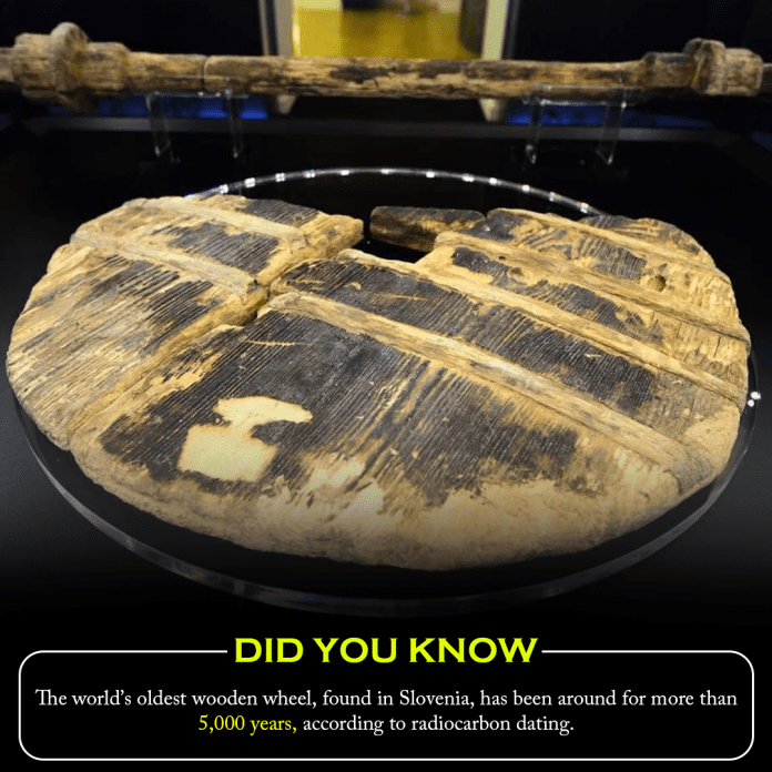Did you know? The world’s oldest wooden wheel, found in Slovenia, has been around for more than 5,000 years, according to radiocarbon dating.