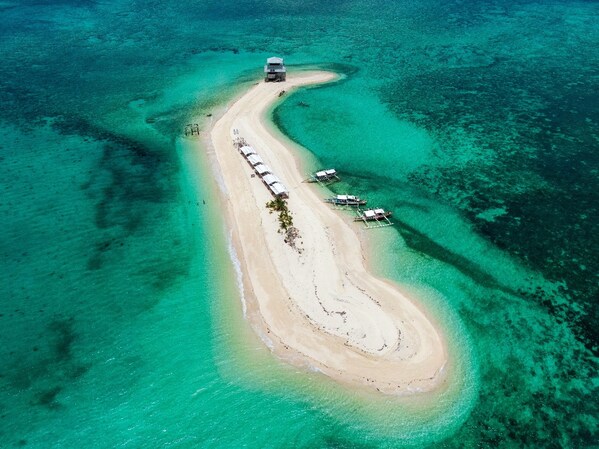 Carbin Reef, Negros Occidental — a 32,000-hectare protected marine sanctuary and part of the Slow Food Community in Sagay