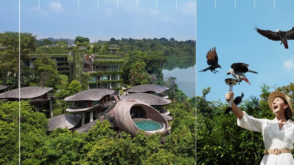 Discover 100 Journeys: Mandai Rainforest Resort by Banyan Tree [Photo Credit: Mandai Wildlife Reserve & WOW Architects]