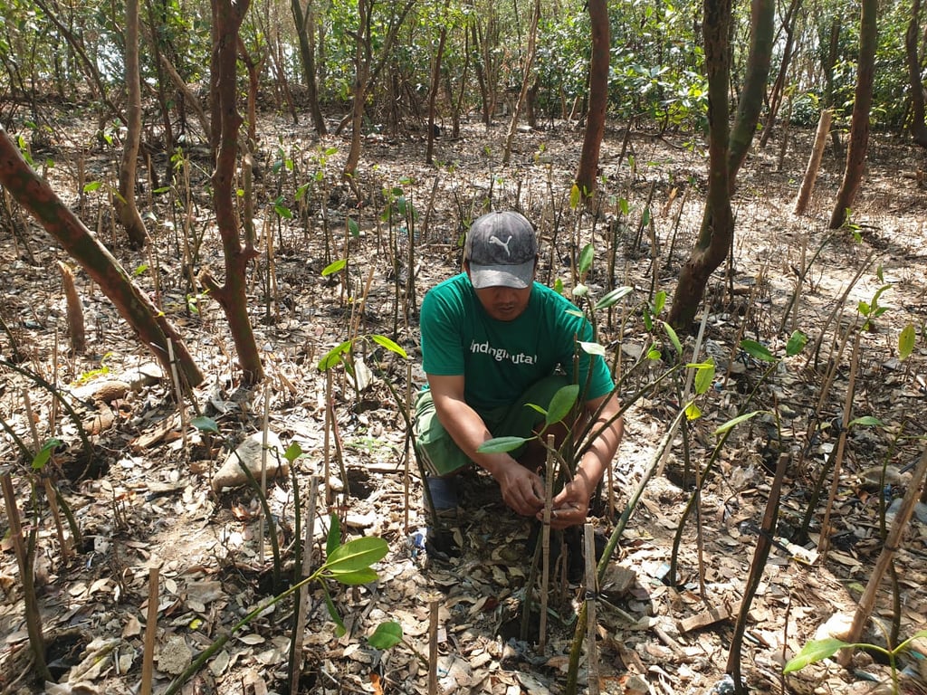 CSR penanaman pohon di Wonorejo, Surabaya (Foto: Tim LindungiHutan)
