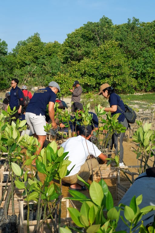 Penanaman mangrove di Pulau Pudut Tanjung Benoa, Bali