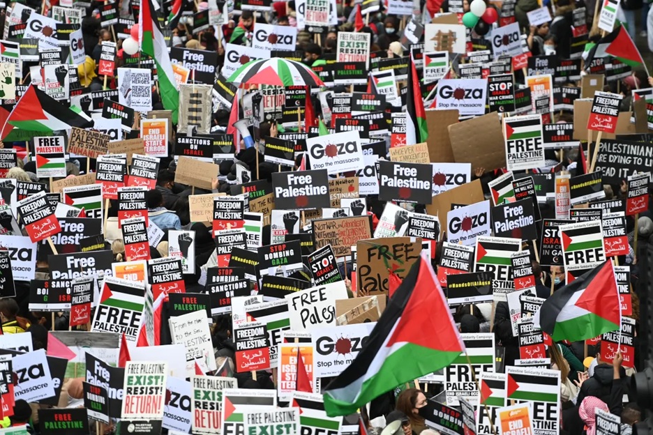 a sea of placards and flags calling for an end to the gaza genocide and to free palestine