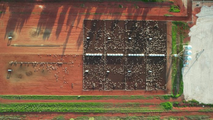 Out of sight, out of mind? The hidden environmental costs of food production.