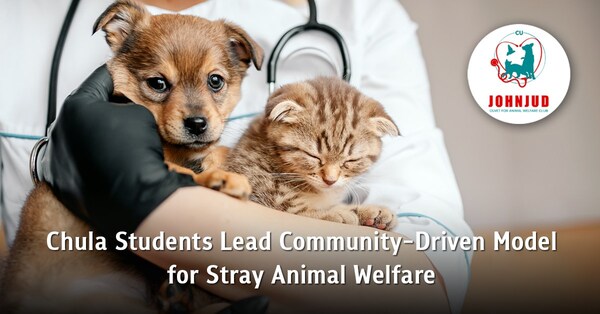 Chula Students Lead Community-Driven Model for Stray Animal Welfare