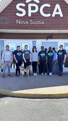 Colleagues volunteering at the Nova Scotia SPCA in Dartmouth.