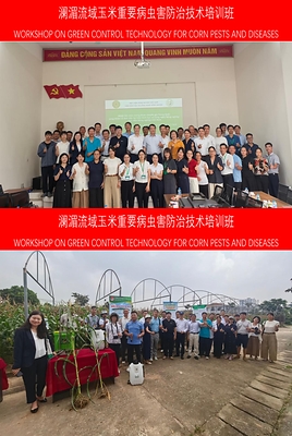 CCTV+: Workshop on Green Control Technology for Corn Pests and Diseases in the Lancang-Mekong River Basin Successfully Held in Hanoi, Vietnam